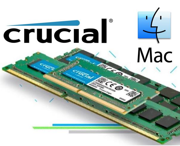 Crucial 8GB (1x8GB) DDR4 SODIMM 2400MHz for MAC Single Stick Desktop for Apple Macbook Memory RAM